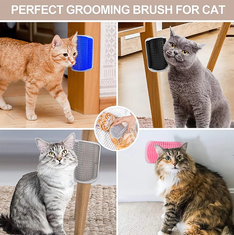 Brush Scratcher Massager 